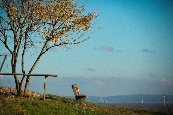 Comment la pratique régulière de la gratitude peut-elle renforcer votre résilience face aux défis de la vie?